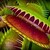 :iconmicromerc55: