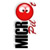 :iconmicropilot: