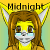 :iconmid-light: