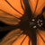 :iconmid-nightlight: