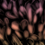:iconmidbleu: