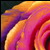 :iconmidey1: