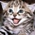 :iconmidget-in-boots13: