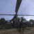 :iconmidgetfly: