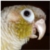 :iconmidmidplumm: