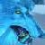 :iconmidnathecat: