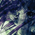 :iconmidnight-apollo: