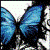 :iconmidnight-jade: