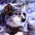 :iconmidnight-muffin: