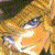 :iconmidnight-of-shadows: