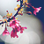 :iconmidnight-pain: