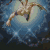 :iconmidnight-silver-wolf: