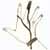 :iconmidnight-sting: