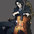 :iconmidnight-sulfur: