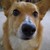 :iconmidnight-sushi: