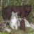 :iconmidnight036: