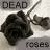 :iconmidnight13731: