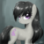 :iconmidnightdash23: