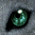 :iconmidnightdirewolf: