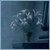 :iconmidnightdream12: