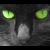 :iconmidnightinmay: