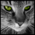 :iconmidnightkari: