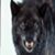 :iconmidnightmoonlightz: