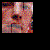 :iconmidnightmoth: