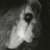 :iconmidnightstrike35:
