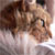 :iconmidnightsushi: