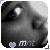 :iconmidnighttree: