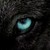 :iconmidnightwolf1000: