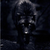 :iconmidnightwolfet: