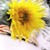:iconmidnightxrain13: