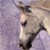 :iconmidnitejinx: