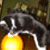 :iconmidnitexterror: