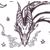 :iconmidori-hyouzan: