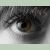 :iconmidori-no-sora: