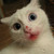 :iconmiechiviejo: