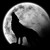 :iconmiedoux26: