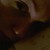 :iconmiehenr: