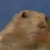 :iconmieke720: