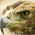 :iconmiesjart: