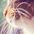 :iconmiezetatze: