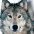 :iconmiguelangelvb11: