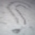 :iconmihaib: