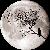 :iconmiitsuki-lunallena: