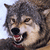:iconMiiXell: