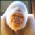 :iconmikage-aru: