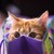 :iconmikami-is-happy: